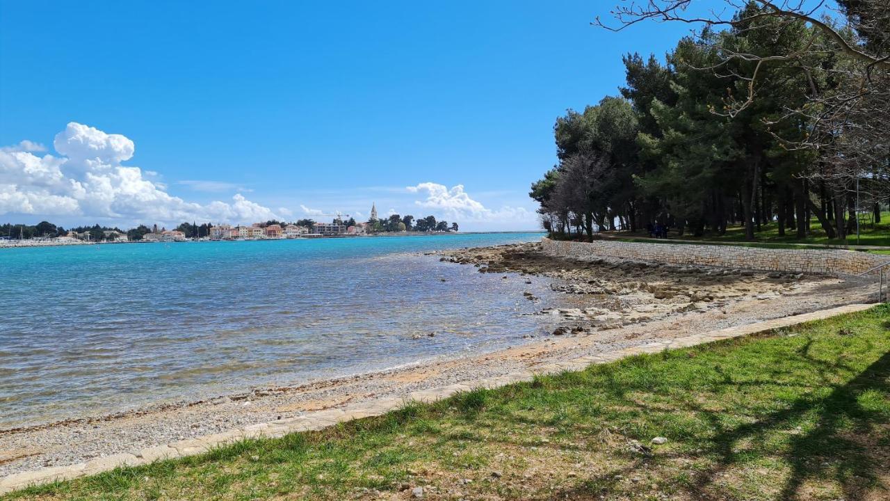 Apartments Kivi Novigrad Istria Exteriör bild