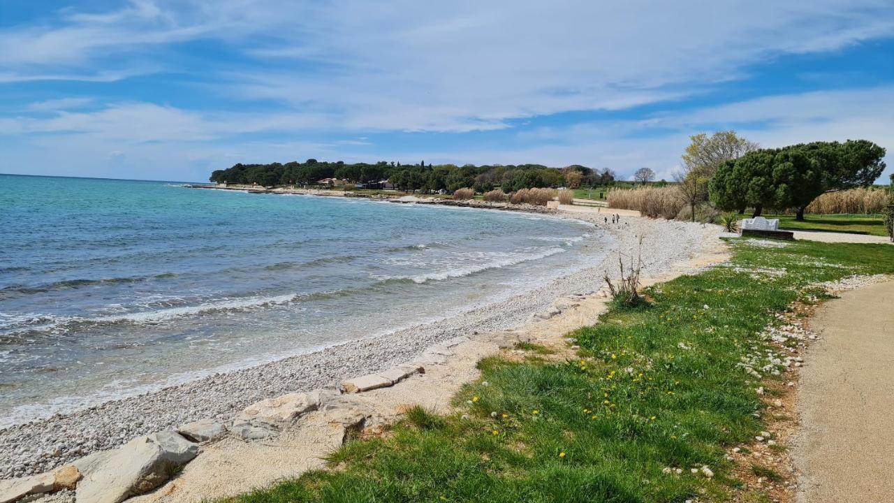 Apartments Kivi Novigrad Istria Exteriör bild