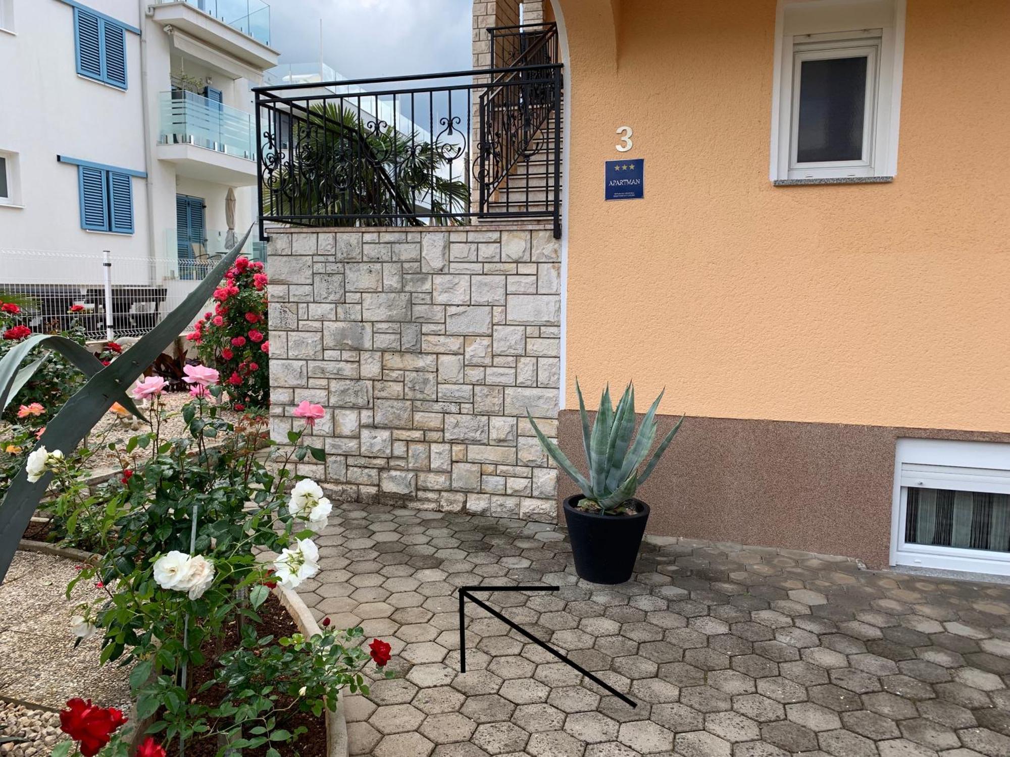 Apartments Kivi Novigrad Istria Exteriör bild